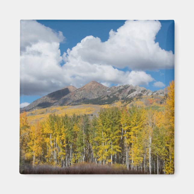 Imán Bosque Nacional Gunnison, Colorado (Frente)