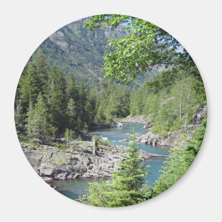 Imán Bosque nacional impresionante