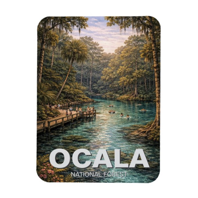 Imán Bosque Nacional Ocala Florida Viajes (Vertical)