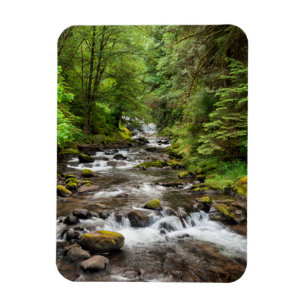 Imán Bosque Nacional Siuslaw Sweet Creek