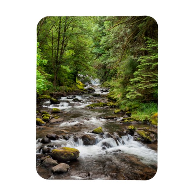 Imán Bosque Nacional Siuslaw | Sweet Creek (Vertical)