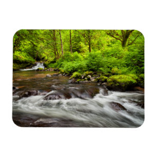 Imán Bosque Nacional Siuslaw, Sweet Creek, Oregon