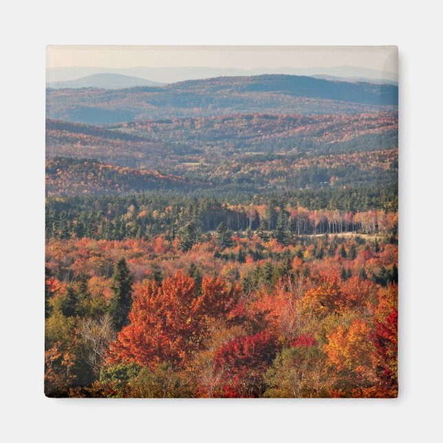 Imán Bosque Nacional White Mountains | Nuevo Hampshire (Frente)