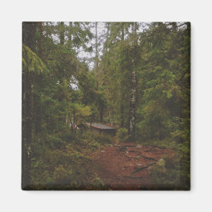 Imán Bosque sueco Moody