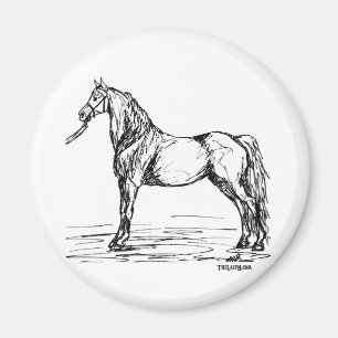 Imán Bosquejo simple del caballo de Morgan