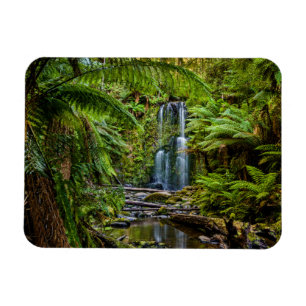 Imán Bosques   Beauchamp Falls Australia