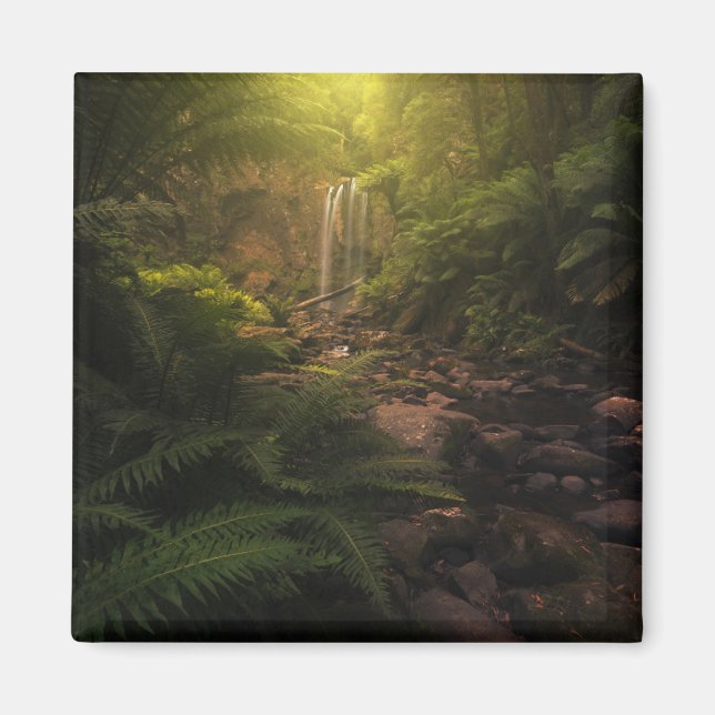 Imán Bosques | Cascada con los aspectos más destacados  (Frente)