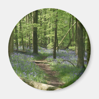 Imán Bosques de Bluebell