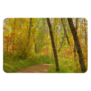 Imán Bosques de otoño