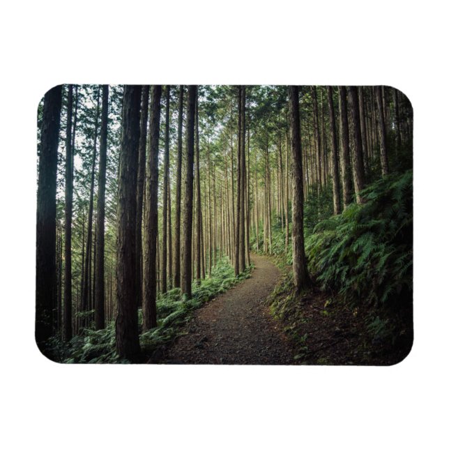 Imán Bosques | Montañas de Wakayama Japón (Horizontal)