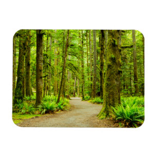 Imán Bosques   Parque nacional olímpico