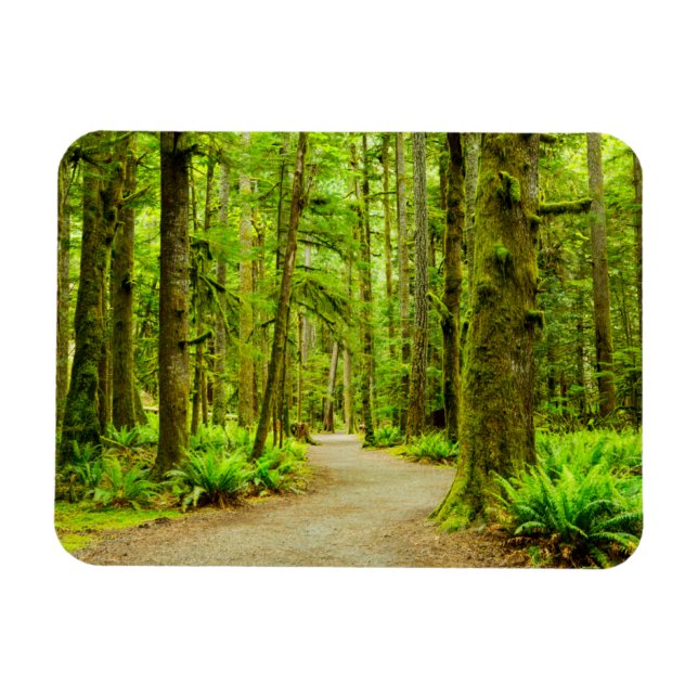 Imán Bosques | Parque nacional olímpico (Horizontal)