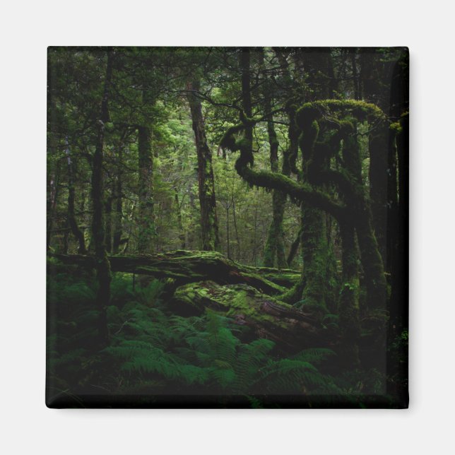 Imán Bosques | Routeburn Track Fiordland Parque naciona (Frente)