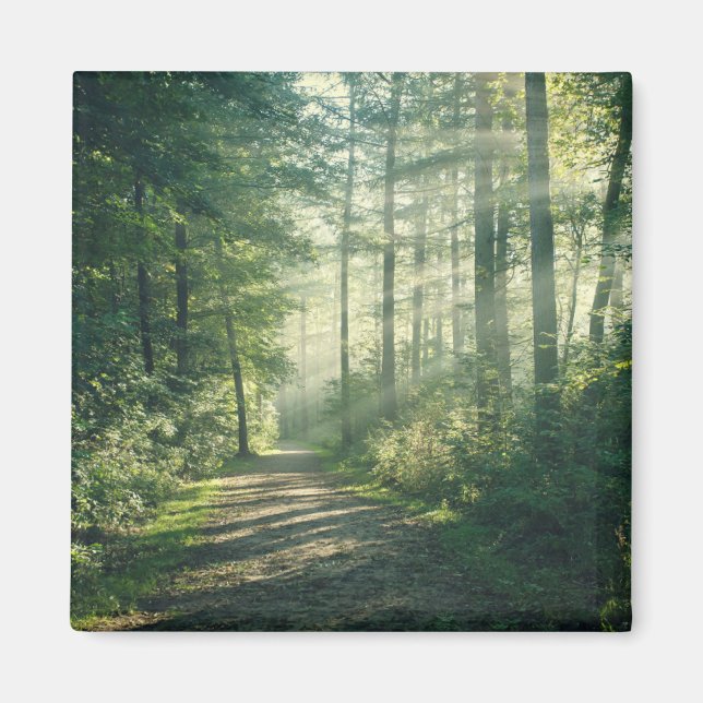 Imán Bosques | Ruta Forestal Hamburgo Alemania (Frente)