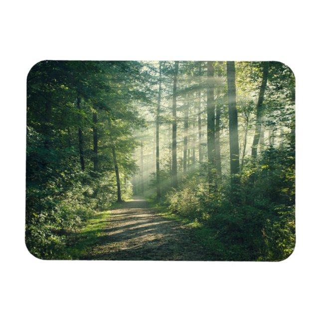 Imán Bosques | Ruta Forestal Hamburgo Alemania (Horizontal)