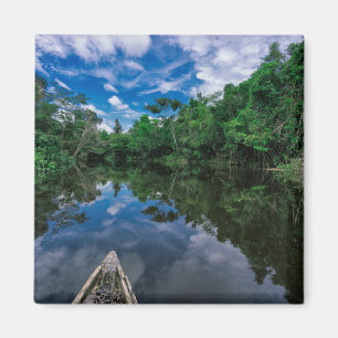 Imán Bosques Selva de selva peruana