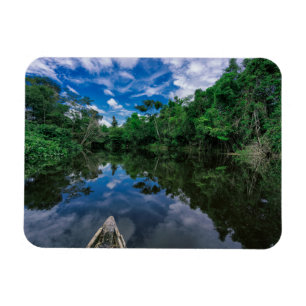 Imán Bosques Selva de selva peruana