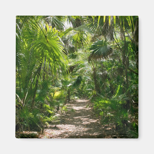 Imán Bosques | Tropical Rainforest Tulum Mexico (Frente)