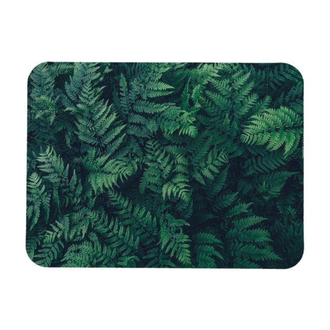 Imán Bosques | Woodland Ferns (Horizontal)