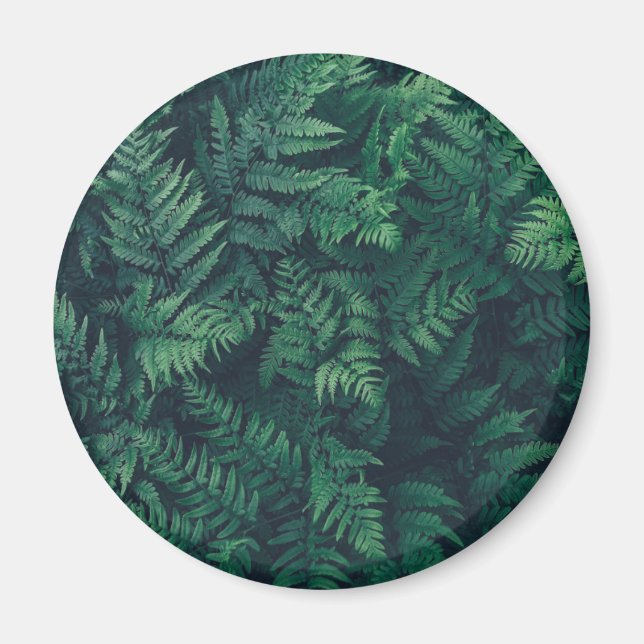 Imán Bosques | Woodland Ferns (Frente)