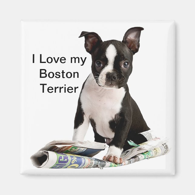 IMÁN BOSTON TERRIER (Frente)