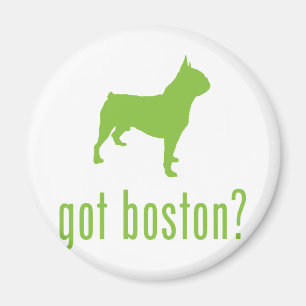 Imán Boston Terrier