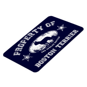 Imán Boston Terrier