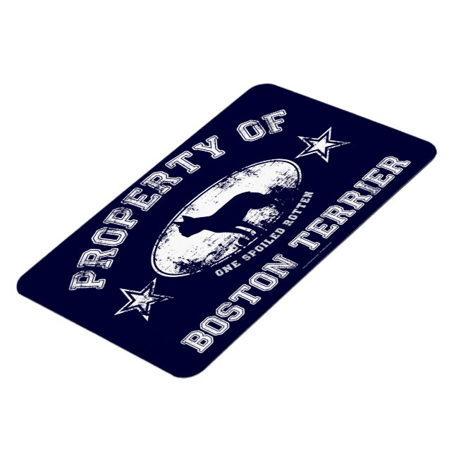 Imán Boston Terrier (Lado Izquierdo)