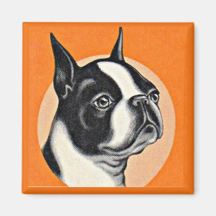 Imán Boston terrier