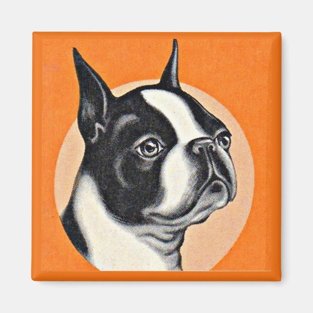 Imán Boston terrier (Frente)