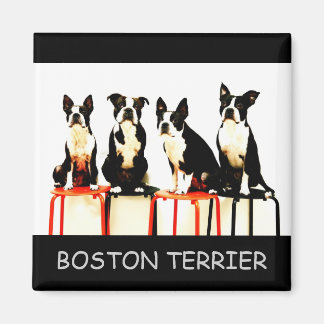 IMÁN BOSTON TERRIER