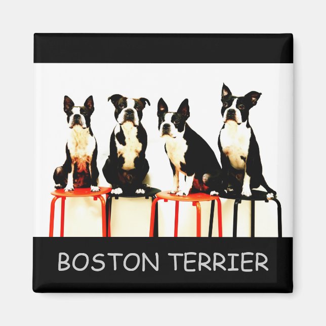 IMÁN BOSTON TERRIER (Frente)