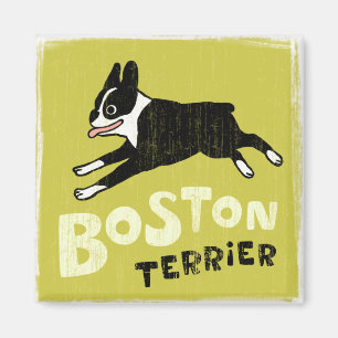 Imán Boston Terrier