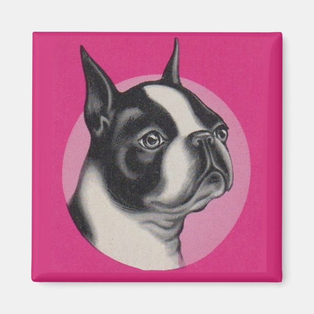Imán Boston terrier (Frente)