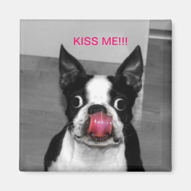 IMÁN BOSTON TERRIER (Frente)