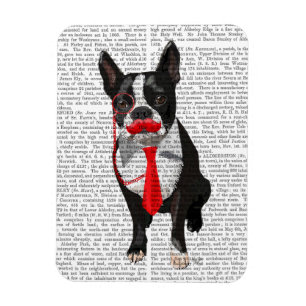 Imán Boston Terrier con los Tiempos Rojos y Mustache 2