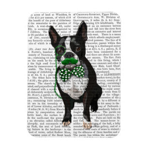 Imán Boston Terrier Con Mustache Verde Y Delicioso