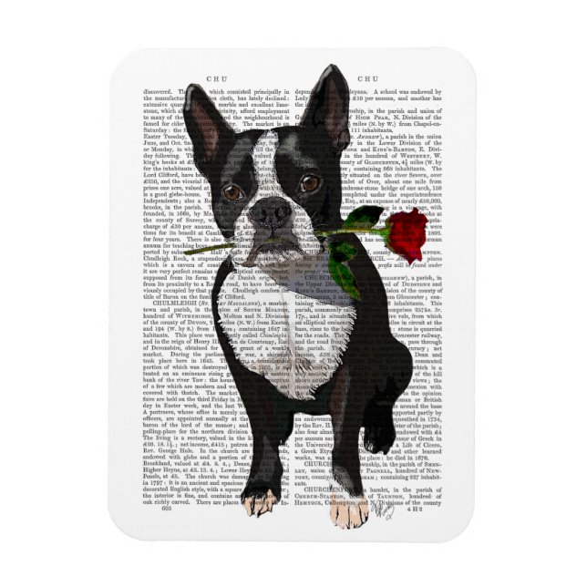 Imán Boston Terrier con Rosa en boca (Vertical)