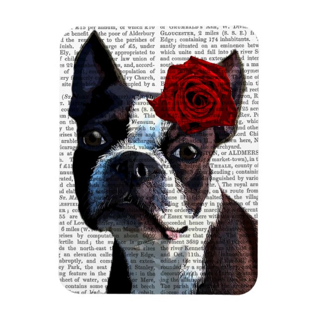 Imán Boston Terrier con Rosa en la cabeza (Vertical)