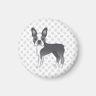 Imán Boston Terrier de dibujos animados azul y blanco &