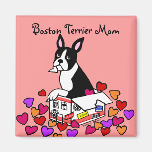 Imán Boston Terrier en el dibujo animado de la caja