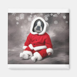 IMÁN BOSTON TERRIER EN SALIDA DE XMAS
