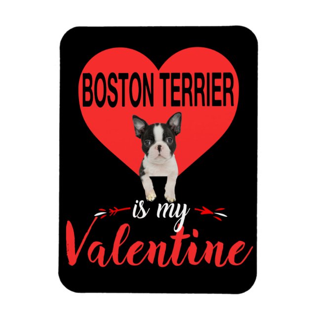 Imán Boston Terrier es mi regalo de San Valentín (Vertical)