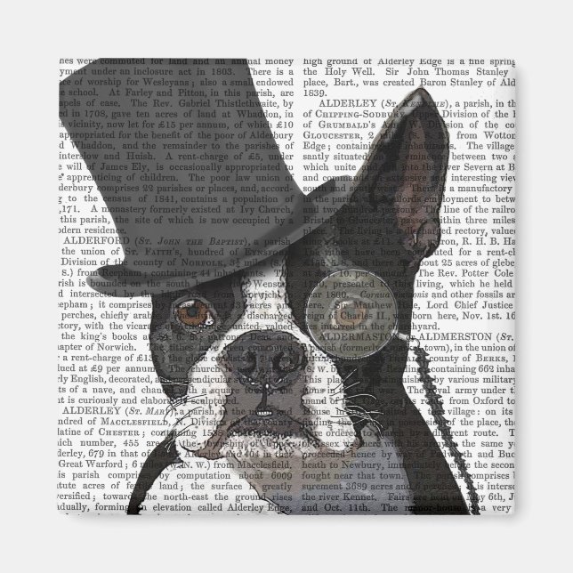 Imán Boston Terrier, hedor formal y Gorra (Frente)