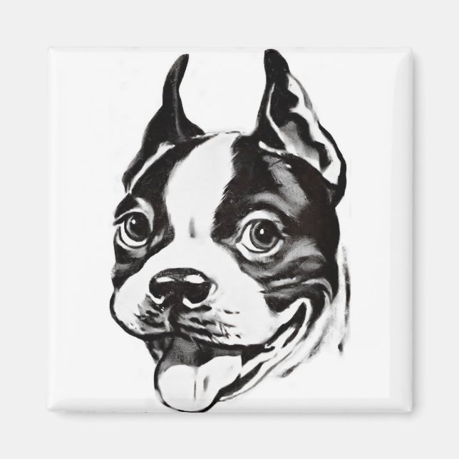 Imán Boston Terrier Magnet (Frente)