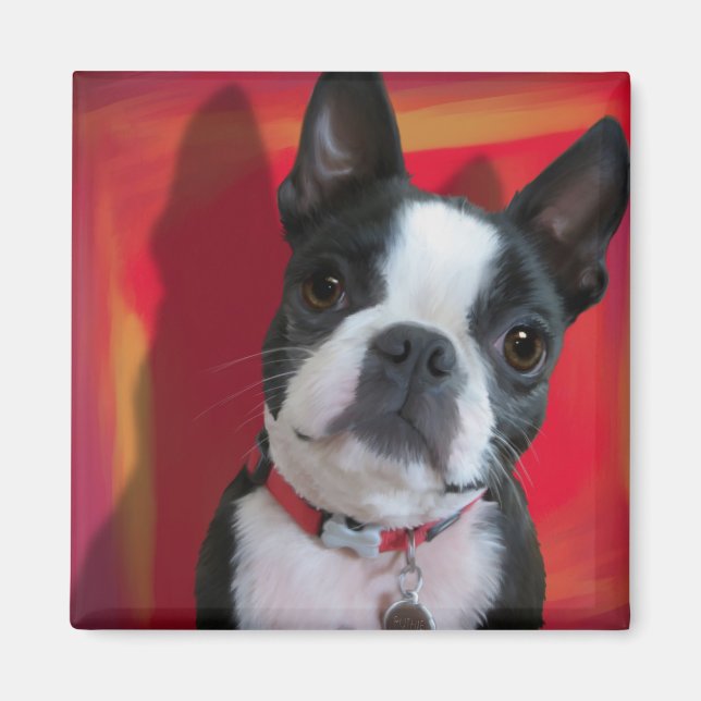 Imán Boston Terrier Magnet (Frente)