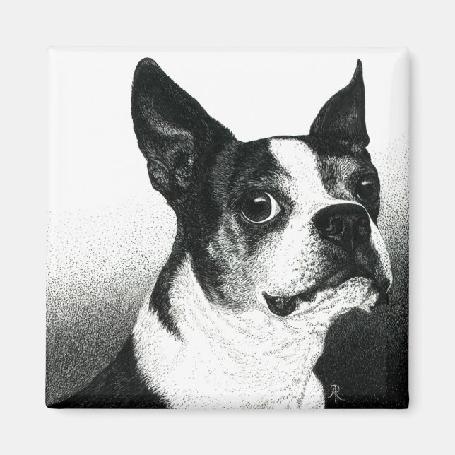 Imán Boston Terrier Magnet - "Estilo Boston" (Frente)