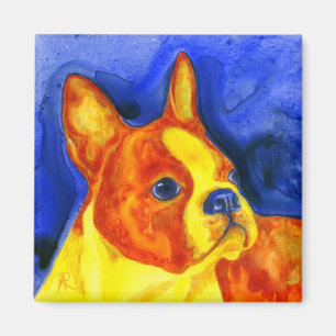 Imán Boston Terrier Magnet - "Golden Boy"