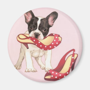 Imán Boston Terrier Puppy Con Zapatos