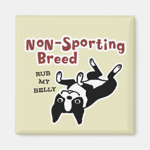 Imán Boston Terrier "Raza no deportiva"